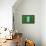 Flag of Nigeria on Grass-raphtong-Framed Stretched Canvas displayed on a wall