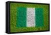 Flag of Nigeria on Grass-raphtong-Framed Stretched Canvas