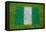 Flag of Nigeria on Grass-raphtong-Framed Stretched Canvas