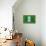 Flag of Nigeria on Grass-raphtong-Stretched Canvas displayed on a wall