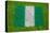 Flag of Nigeria on Grass-raphtong-Stretched Canvas