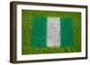 Flag of Nigeria on Grass-raphtong-Framed Art Print