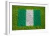 Flag of Nigeria on Grass-raphtong-Framed Art Print