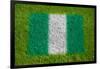 Flag of Nigeria on Grass-raphtong-Framed Art Print