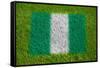 Flag of Nigeria on Grass-raphtong-Framed Stretched Canvas