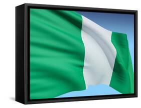 Flag Of Nigeria-bioraven-Framed Stretched Canvas