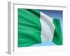 Flag Of Nigeria-bioraven-Framed Art Print