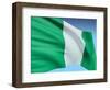 Flag Of Nigeria-bioraven-Framed Art Print