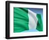 Flag Of Nigeria-bioraven-Framed Art Print