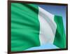 Flag Of Nigeria-bioraven-Framed Art Print