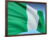 Flag Of Nigeria-bioraven-Framed Art Print