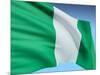 Flag Of Nigeria-bioraven-Mounted Art Print