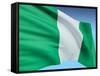 Flag Of Nigeria-bioraven-Framed Stretched Canvas