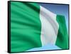 Flag Of Nigeria-bioraven-Framed Stretched Canvas