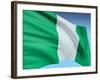 Flag Of Nigeria-bioraven-Framed Art Print