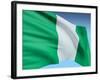 Flag Of Nigeria-bioraven-Framed Art Print