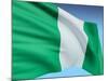 Flag Of Nigeria-bioraven-Mounted Art Print