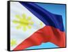 Flag Of Philippines-bioraven-Framed Stretched Canvas