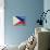 Flag Of Philippines-bioraven-Art Print displayed on a wall