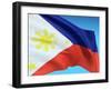 Flag Of Philippines-bioraven-Framed Art Print