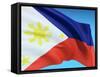 Flag Of Philippines-bioraven-Framed Stretched Canvas