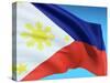 Flag Of Philippines-bioraven-Stretched Canvas