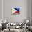 Flag Of Philippines-bioraven-Art Print displayed on a wall