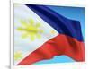 Flag Of Philippines-bioraven-Framed Art Print