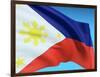 Flag Of Philippines-bioraven-Framed Art Print