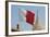 Flag of Qatar and Islamic Cultural Centre, Doha, Qatar, Middle East-Frank Fell-Framed Photographic Print