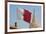 Flag of Qatar and Islamic Cultural Centre, Doha, Qatar, Middle East-Frank Fell-Framed Photographic Print