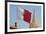 Flag of Qatar and Islamic Cultural Centre, Doha, Qatar, Middle East-Frank Fell-Framed Photographic Print