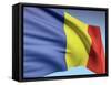 Flag Of Romania-bioraven-Framed Stretched Canvas