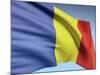 Flag Of Romania-bioraven-Mounted Art Print