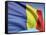 Flag Of Romania-bioraven-Framed Stretched Canvas