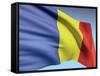 Flag Of Romania-bioraven-Framed Stretched Canvas