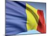 Flag Of Romania-bioraven-Mounted Art Print