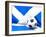 Flag of Scotland with Football in Front of It-Mikhail Mishchenko-Framed Art Print