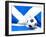 Flag of Scotland with Football in Front of It-Mikhail Mishchenko-Framed Art Print