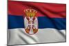 Flag Of Serbia-metrs-Mounted Art Print