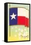 Flag of Texas-null-Framed Stretched Canvas