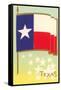 Flag of Texas-null-Framed Stretched Canvas