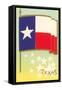 Flag of Texas-null-Framed Stretched Canvas