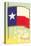 Flag of Texas-null-Stretched Canvas