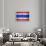 Flag Of Thailand-Miro Novak-Framed Art Print displayed on a wall
