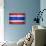 Flag Of Thailand-Miro Novak-Stretched Canvas displayed on a wall