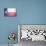 Flag Of The State Of Texas-grafvision-Art Print displayed on a wall