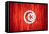 Flag Of Tunisia-Miro Novak-Framed Stretched Canvas