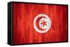 Flag Of Tunisia-Miro Novak-Framed Stretched Canvas