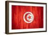 Flag Of Tunisia-Miro Novak-Framed Premium Giclee Print